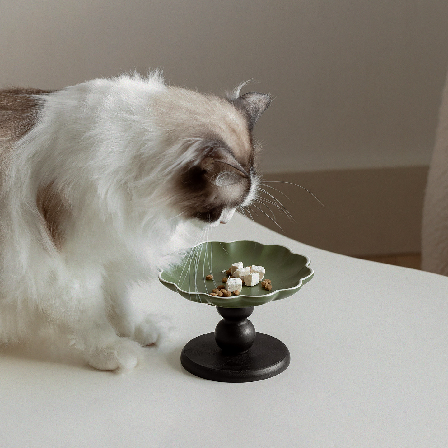 Peture陶瓷猫碟中古风高脚宠物碗护颈防打翻猫咪食盆湿粮罐头碗,淘宝优惠券,粉丝福利购,淘宝优惠卷