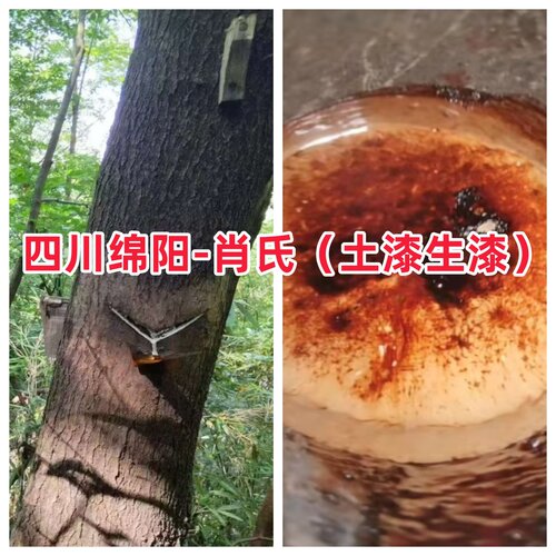 漆农自产自销天然土漆生漆精细过滤土漆优质纯正土漆生漆85元一斤_虎窝淘