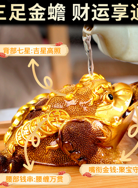 金蟾招财变色茶宠貔貅茶台桌面摆件可养变色茶具茶玩功夫饰品摆设
