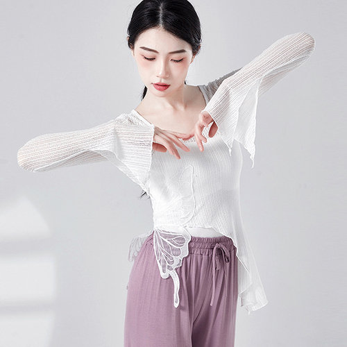 古典舞演出服新款舞蹈纱衣女蝴蝶蕾丝上衣现代中国舞形体练功服装 - 图0