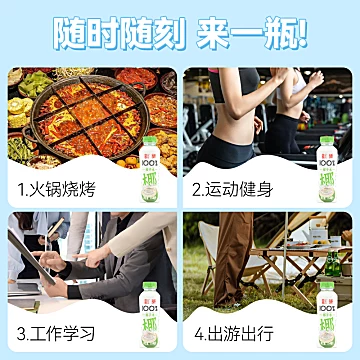 纯椰子水饮料350ml*6瓶装[10元优惠券]-寻折猪