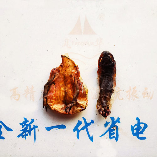 蛤蟆肚皮林蛙干皮长白山雪蛤皮林蛙皮带脊骨 一份包邮 - 图2