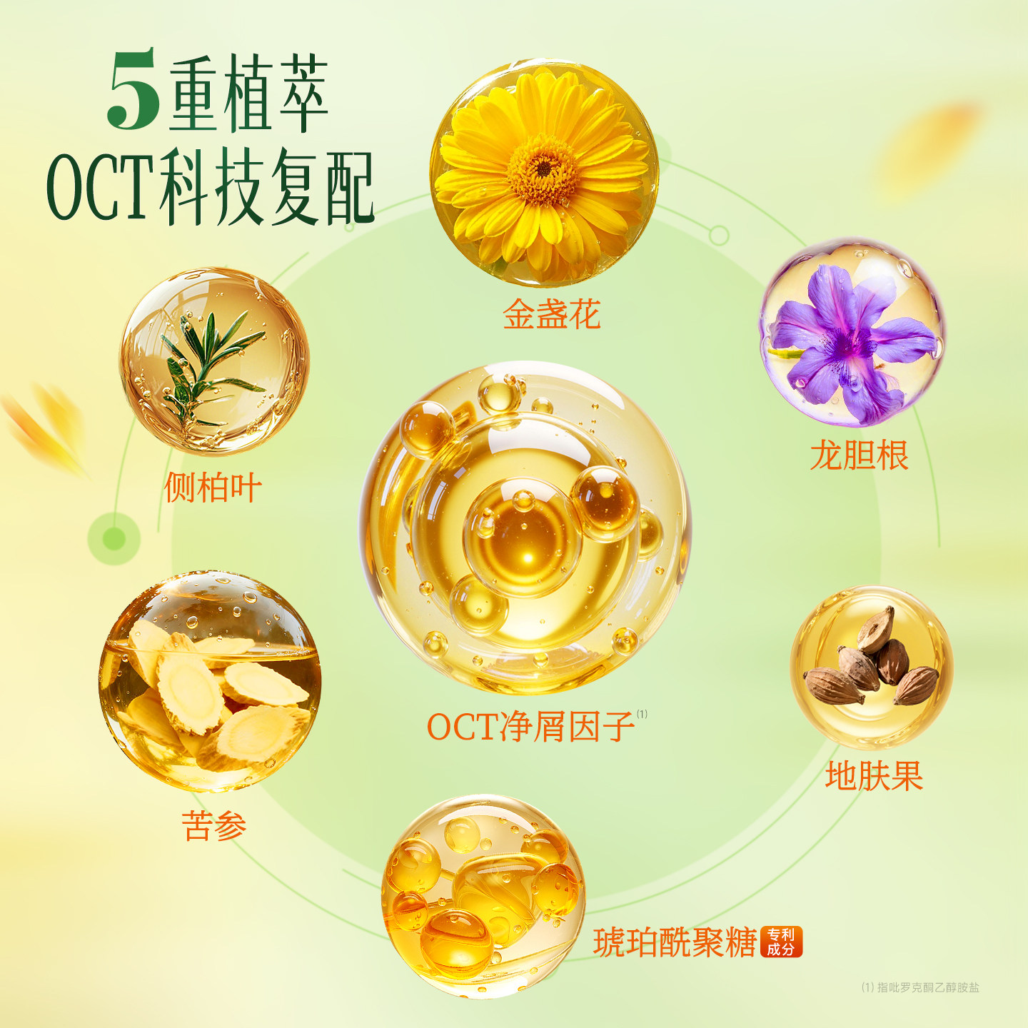 金盏花控油蓬松洗发水去屑止痒舒缓柔顺持久留香洗头膏露官方正品