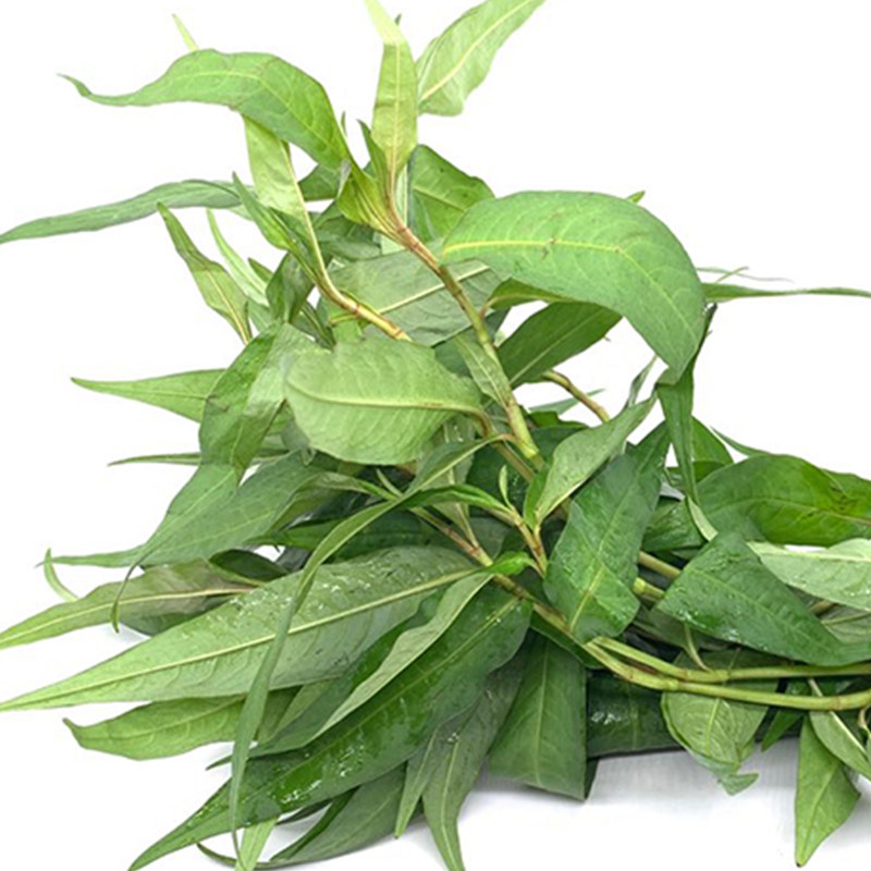 新鲜香柳叶辣柳野菜香辣柳傣味特产拉叻沙去腥鱼生草调料凉拌蘸水 - 图3