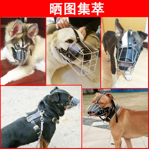 狗嘴套口罩防乱吃防咬人金毛狼狗德牧马犬口笼专用嘴笼大型犬嘴罩 - 图2