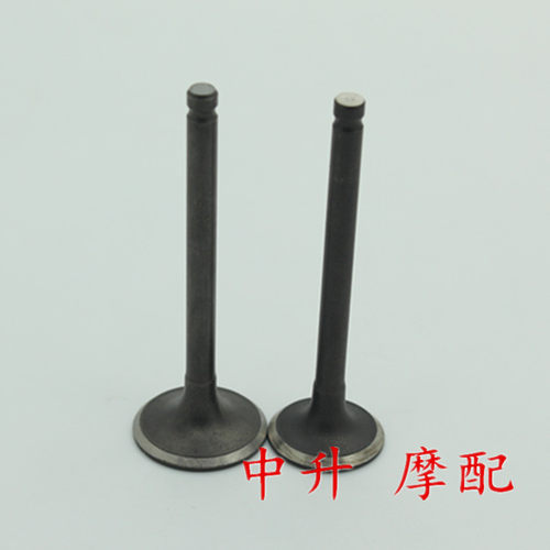 株洲雅马哈 ZY125T-3-4-5-6 迅鹰 丽鹰125 尚领 原装 气门 原厂 - 图1