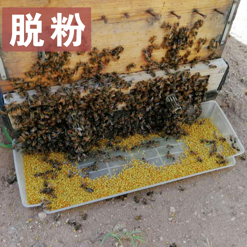 油菜杂粉2022天然花粉养蜂喂蜂蜂用花粉蜜蜂饲料蜂粮花粉颗粒包邮