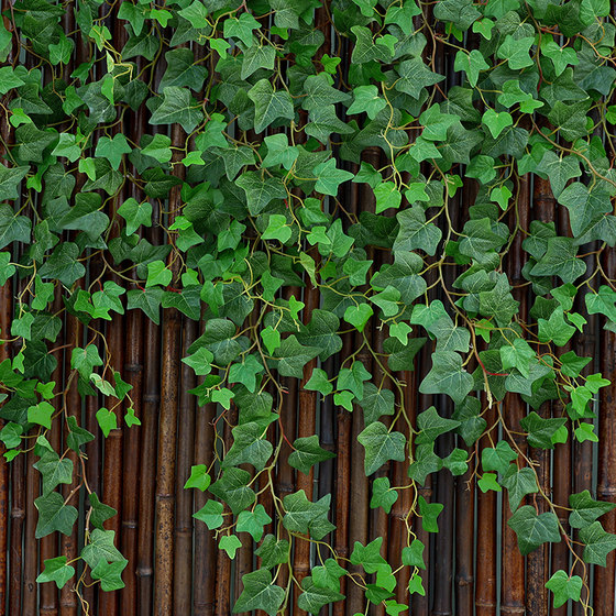 Simulated ivy creeper blocks green leaves and plants