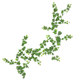 Simulated frosted forked ivy rattan home decoration