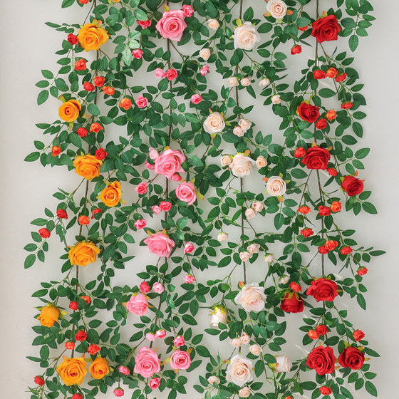 Butterflies, roses, vines, internet celebrity photos and landscaping items