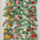 Butterflies, roses, vines, internet celebrity photos and landscaping items