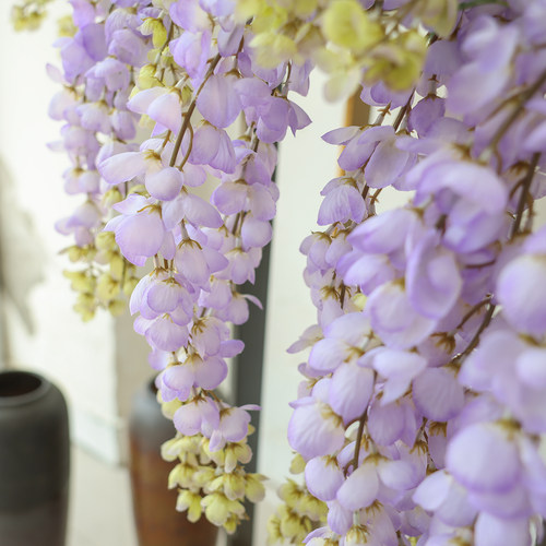 仿真阿勃勒巨型紫藤花长枝串假花绢花垂吊花藤拍照藤蔓婚庆装饰花 - 图2