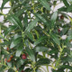 Simulated plant olive branches and green leaves wedding flower arrangement decoration