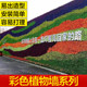 Plastic plant wall decoration colorful Milanese eucalyptus