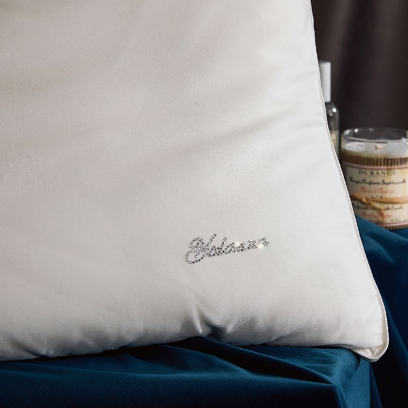 YOLANNA/欧恋纳SmartSoft白金蚕丝枕头柔软丝滑透气枕芯可脱卸,淘宝优惠券,粉丝福利购,淘宝优惠卷