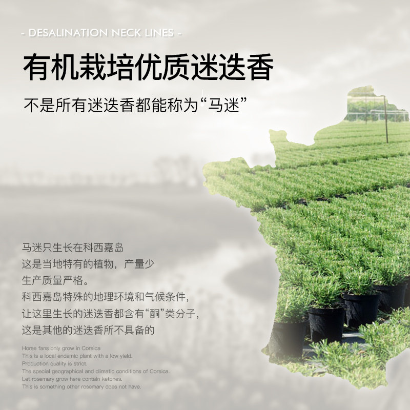 nyas妮雅丝马鞭草酮迷迭香马爽肤水 NYAS妮雅丝纯露/花水