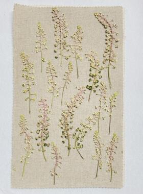 花未落森系INS风干花压花