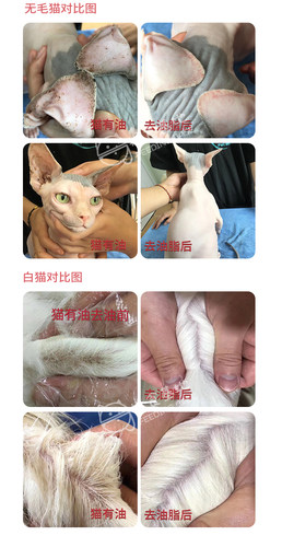 朝雨猫有油猫咪去油膏沐浴露尾巴油性皮肤黑下巴黑油尾巴宠物香波 - 图1