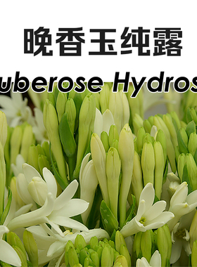 高定纯露。合集COA白玫瑰 晚香玉 檀香沉香苦橙花 把花园装进瓶中