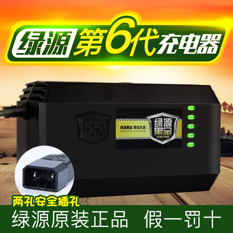 绿源原装电动电瓶车充电器36V48V60V64V72V80V/20E/30E-T/2T40E50 - 图0