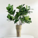 Simulated green plant, rich banyan tree, Bengal banyan indoor living room, floor-standing potted plant decorative ornaments, high-end bionic plants