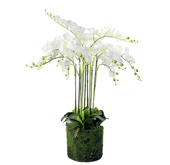 Floral Art Simulation Phalaenopsis Potted Terilihui