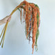 Simulated soft silk tail amaranth hanging rice lover's tears hanging fake flower art hanging simulated green plant wall design decoration