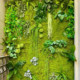Simulated plant moss turf Zen landscape