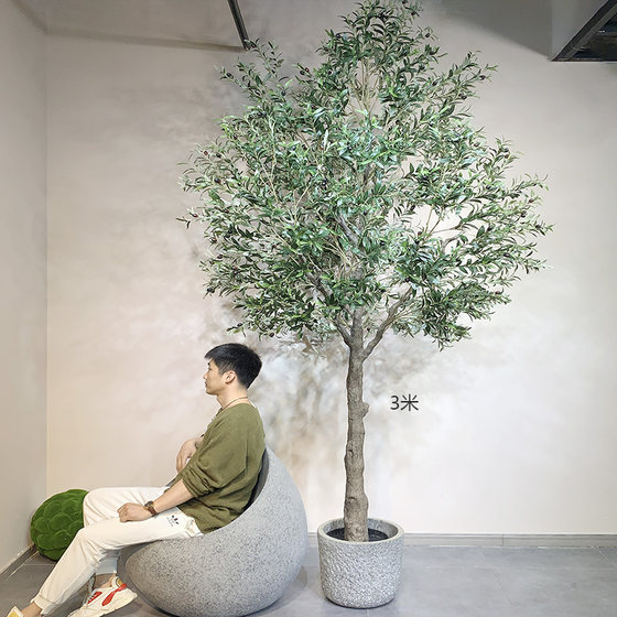 Terrihui large green olive tree floor-standing potted plant