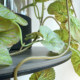 Terrihui simulated European version of crabapple leaf handle bunch wall hanging vine