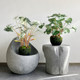 Simulated fake trees, colorful leaves, green plants, multi-fork handles, fairy taro and fruit taro potted plants, indoor landscaping decoration, flower arrangements