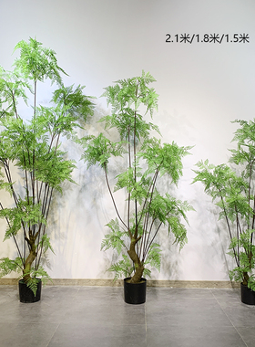 森系仿真马尾蕨树盆栽