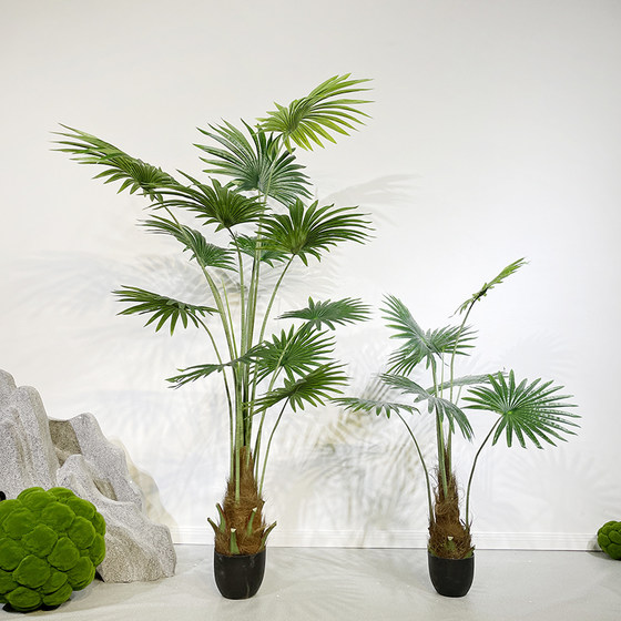 Palm leaf floor plant