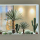Telihui simulated Mexican agave