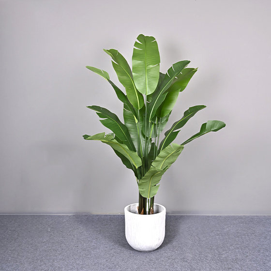 Telihui Free Shipping Simulated Plant Banana Traveler Banana