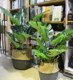 Nordic Chinese style balcony decoration potted plants