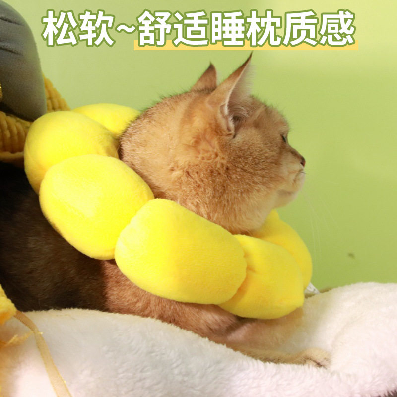 伊丽莎白项圈防抓挠防咬猫咪绝育猫项圈宠物用品可调节伊丽莎白圈,淘宝优惠券,粉丝福利购,淘宝优惠卷