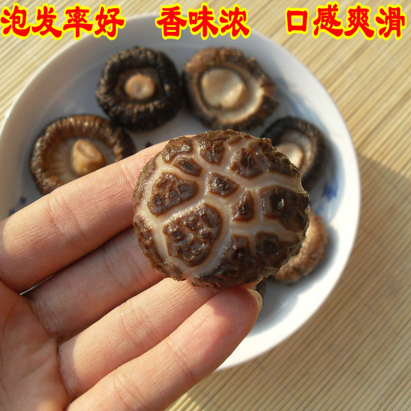 运城盐湖亲水参观木栈道风景美