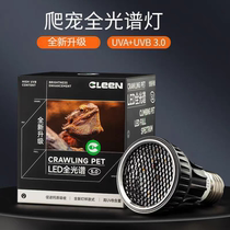 Tortoise Sunburn Back Light Insulation Calcium Uva Uvb Full Spectrum Solar Light Lizard Tortoise to heat up the repo bulb