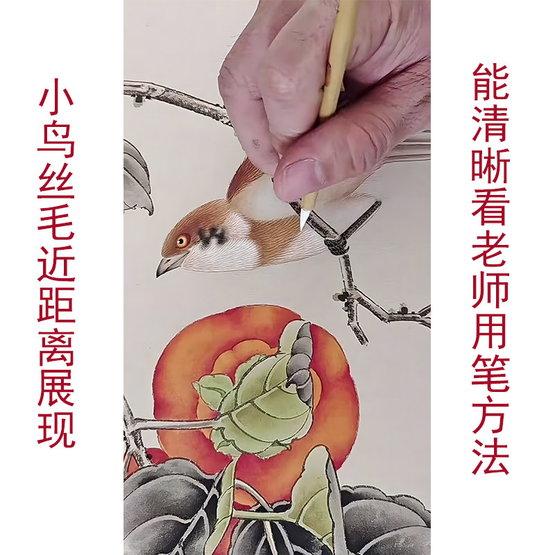 工笔画底稿白描画稿柿子柿柿如意临摹底稿白描线稿手勾可直接上色,淘宝优惠券,粉丝福利购,淘宝优惠卷
