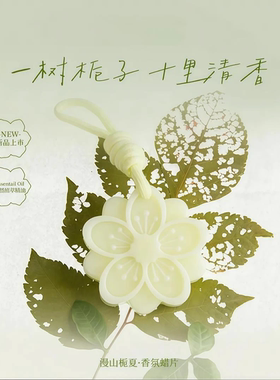 下姜栀子香薰蜡片持久留香