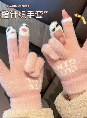 冬季加绒加厚触屏五指女士手套