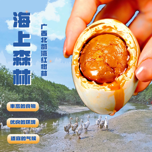 西哥海鸭蛋广西北海特产红树林海鸭蛋烤海鸭蛋咸鸭蛋正宗流油整箱 - 图0