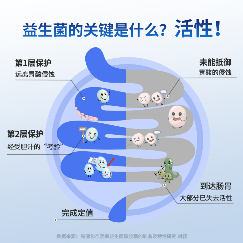 双心益生菌成人调理肠胃肠道便秘调节肠道菌群正品官方旗舰店大人-图2