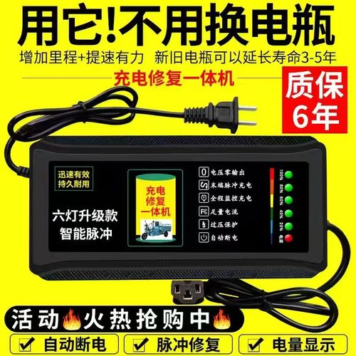 自动断电 电动车电瓶充电器48V60v72V20AH电车三轮车电池智能通用 - 图0
