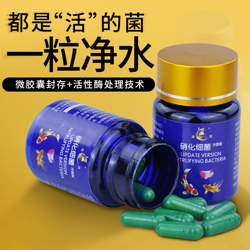 硝化细菌鱼缸专用胶囊净水活菌干粉养鱼鱼药水族消化细菌鱼用水族-图2