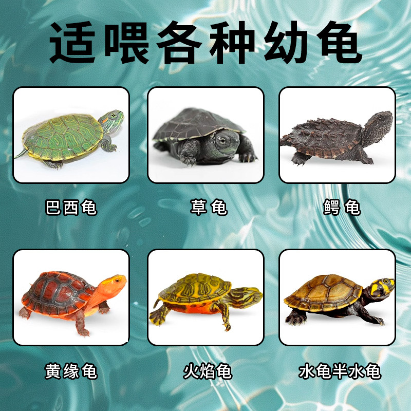 龟苗开口粮幼龟龟粮小乌龟专用粮食物小龟甲鱼巴西龟草龟通用饲料,淘宝优惠券,粉丝福利购,淘宝优惠卷
