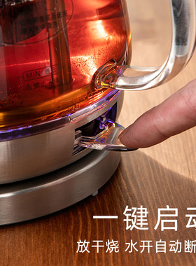 思奈尔透明泡茶专用长嘴烧水壶