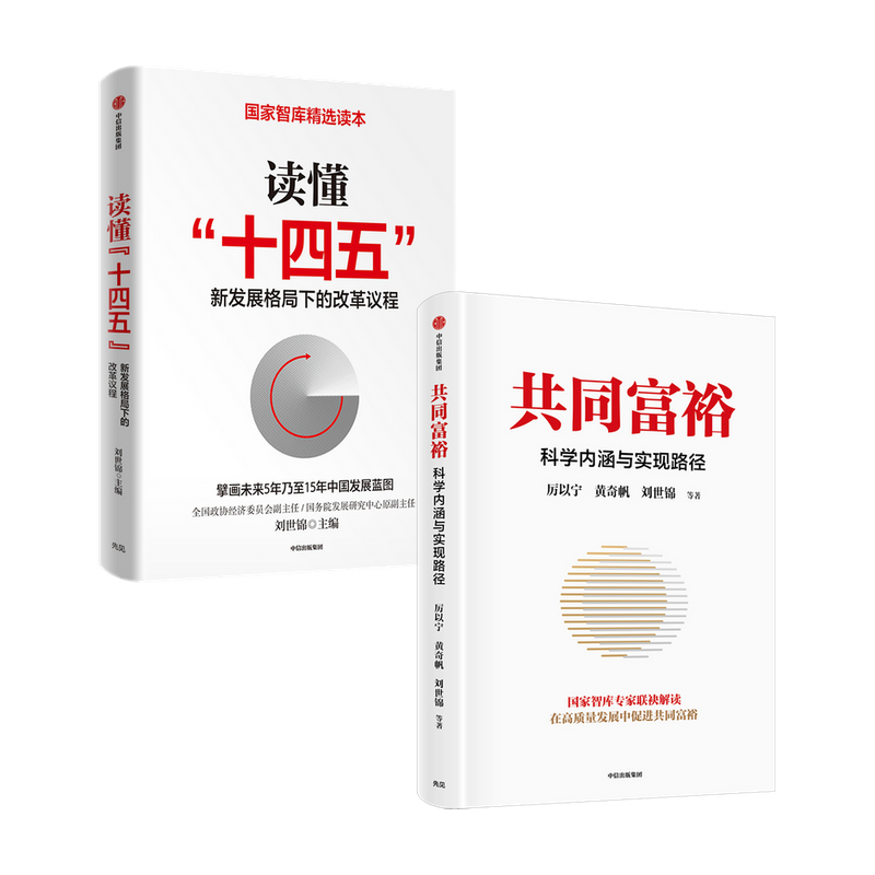 共同富裕+读懂 十四五 套装2册  林毅夫，刘世锦等 著 经济 - 图0