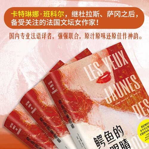鳄鱼的黄眼睛 卡特琳娜班科尔 著 外国现当代文学小说 女性主义文学代表作 从逆境中寻找重生的希望 励志 - 图0
